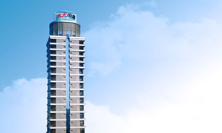 永大电梯：追求事业发展，勇担社会责任